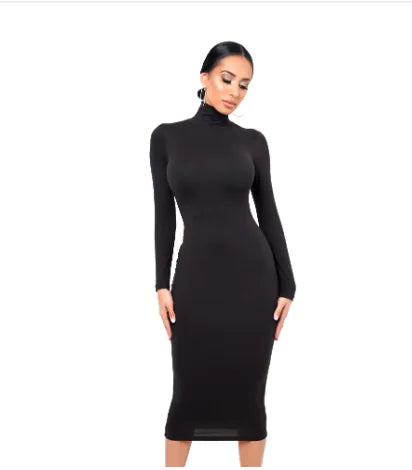 Long Sleeve Sheer Dress for Nightclub Wear