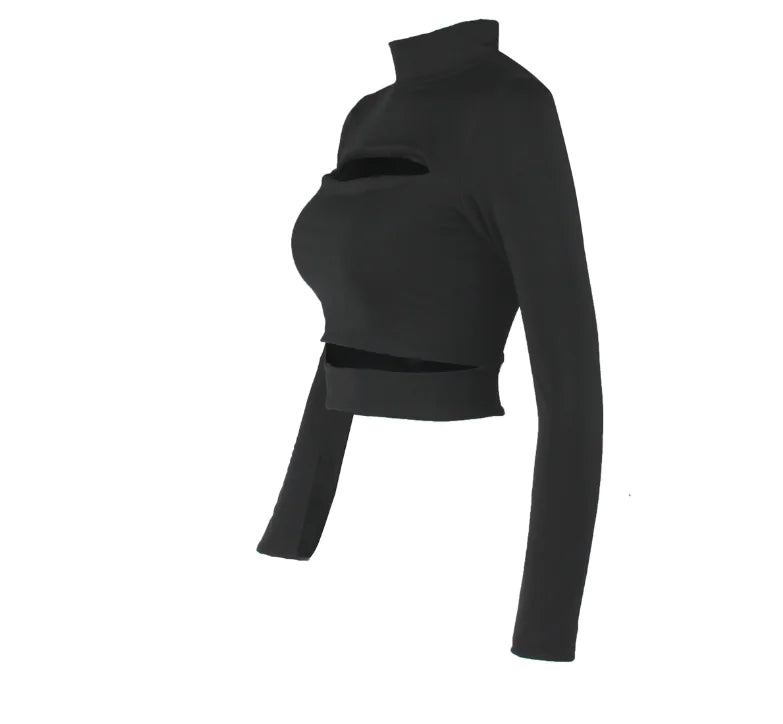 European Style Hollow Out Long Sleeve Crop Top for Women