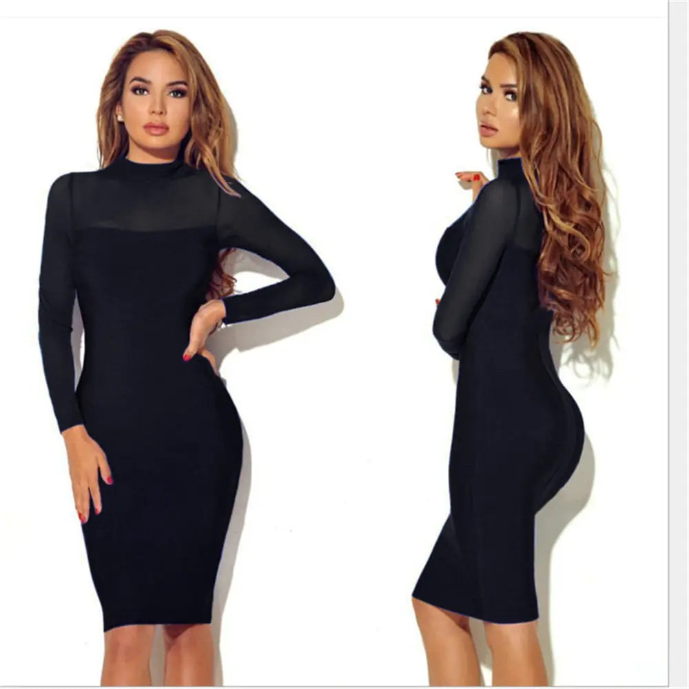 Long Sleeve Sheer Dress for Nightclub Wear